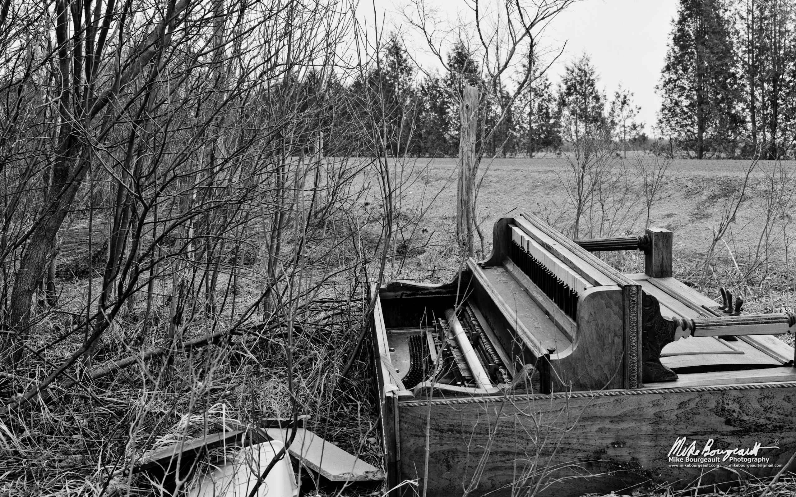 July 11, 2012 – Forgotten Piano